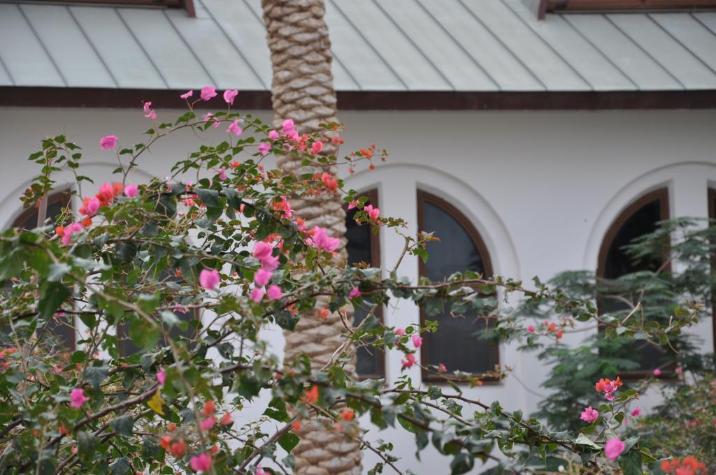 Russian Pilgrim Residence Sweimeh Exterior foto